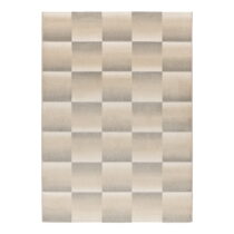 Sivo-krémový koberec 160x230 cm Sensation – Universal