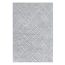 Svetlosivý umývateľný koberec 120x170 cm Alisha – Flair Rugs