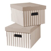 Kartónové úložné boxy s vekom v súprave 2 ks Stripes – Compactor